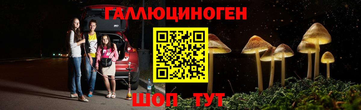 Ярославль  Галлюциногенные грибы Cubensis  Вход с VPN  Псилоцибиновые грибы ЛСД 
